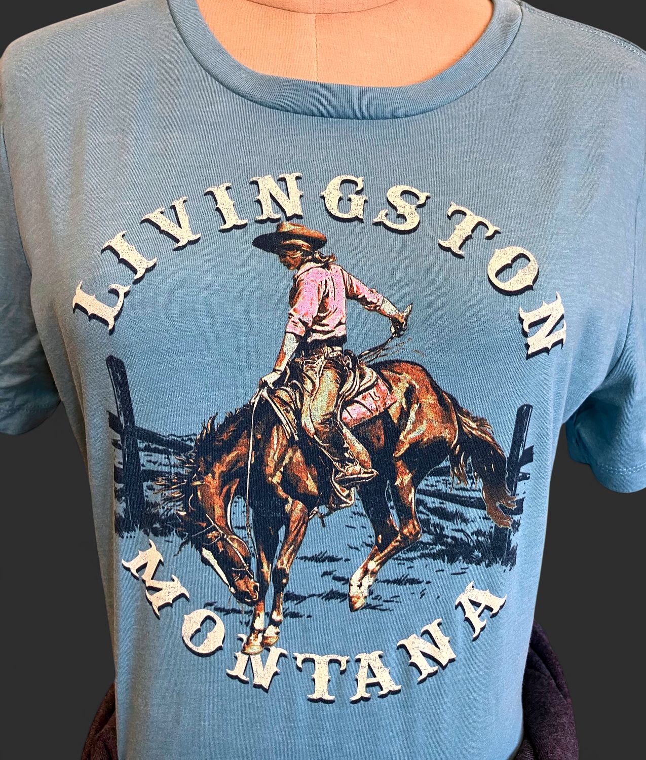 Livingston MT Ride Like A Gal T-Shirt Small