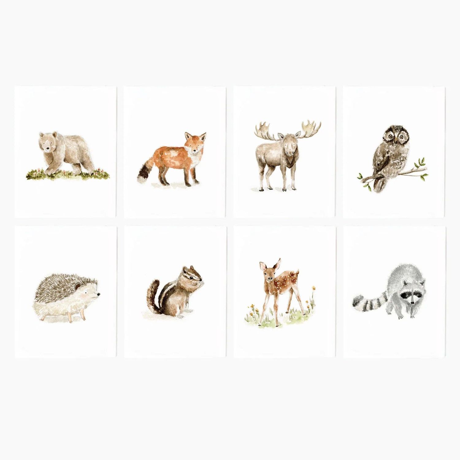 Woodland Animals - Assorted Notecard Set