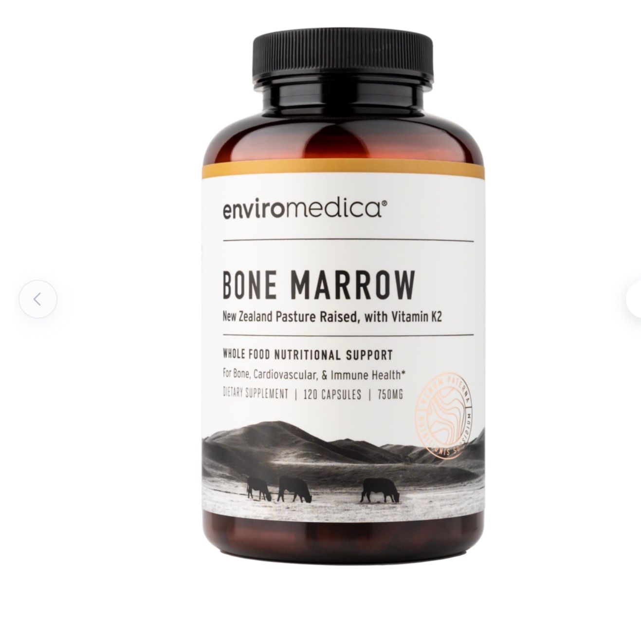 Bone Marrow