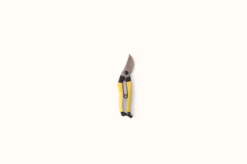NIWAKI RIGHT HAND CARBON STEEL MAINICHI SECATEURS