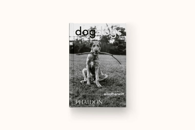 DOGSDOGS BY ELLIOTT ERWHITT