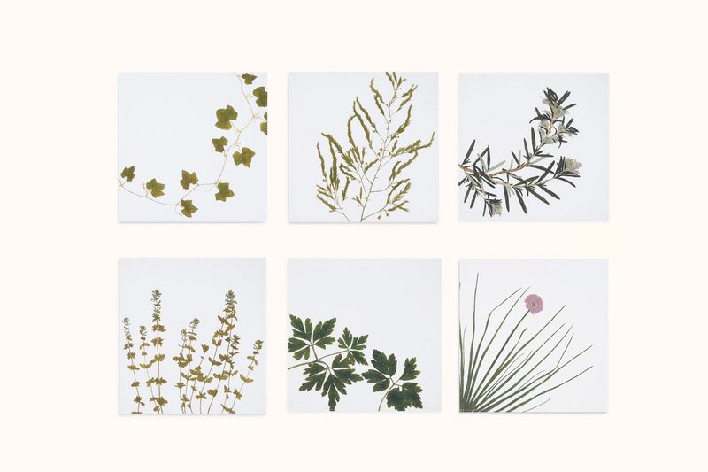 SUMMERILL &amp; BISHOP GASTRONOMIC HERB NAPKINS