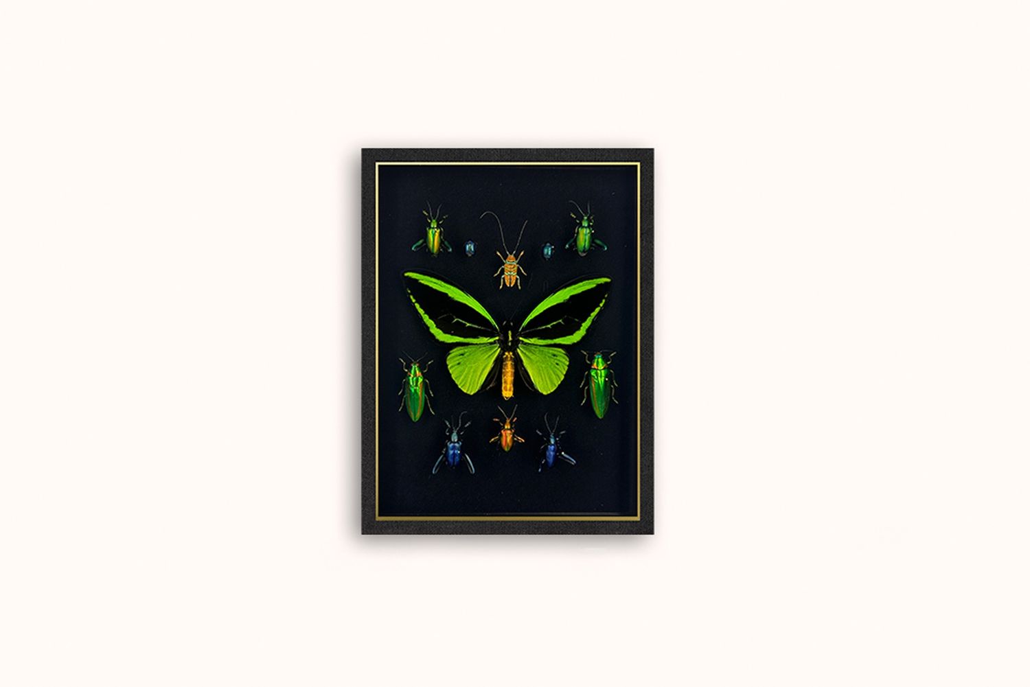 HASHARAT 'EMERALD CITY' FRAMED COMPOSTION