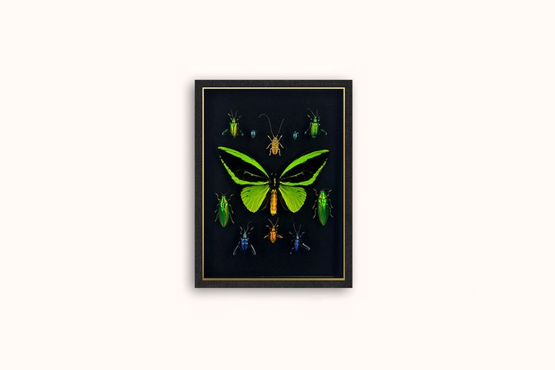 HASHARAT 'EMERALD CITY' FRAMED COMPOSTION