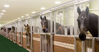 EquiTile BrickTop 1.0"