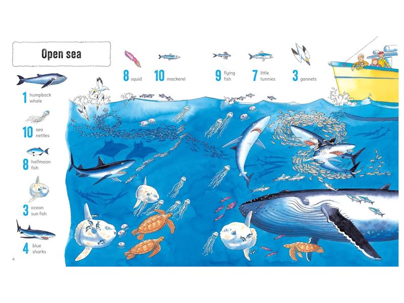 1001 THINGS TO SPOT IN THE SEA
