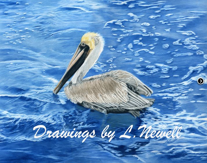 PELICAN NOTECARD