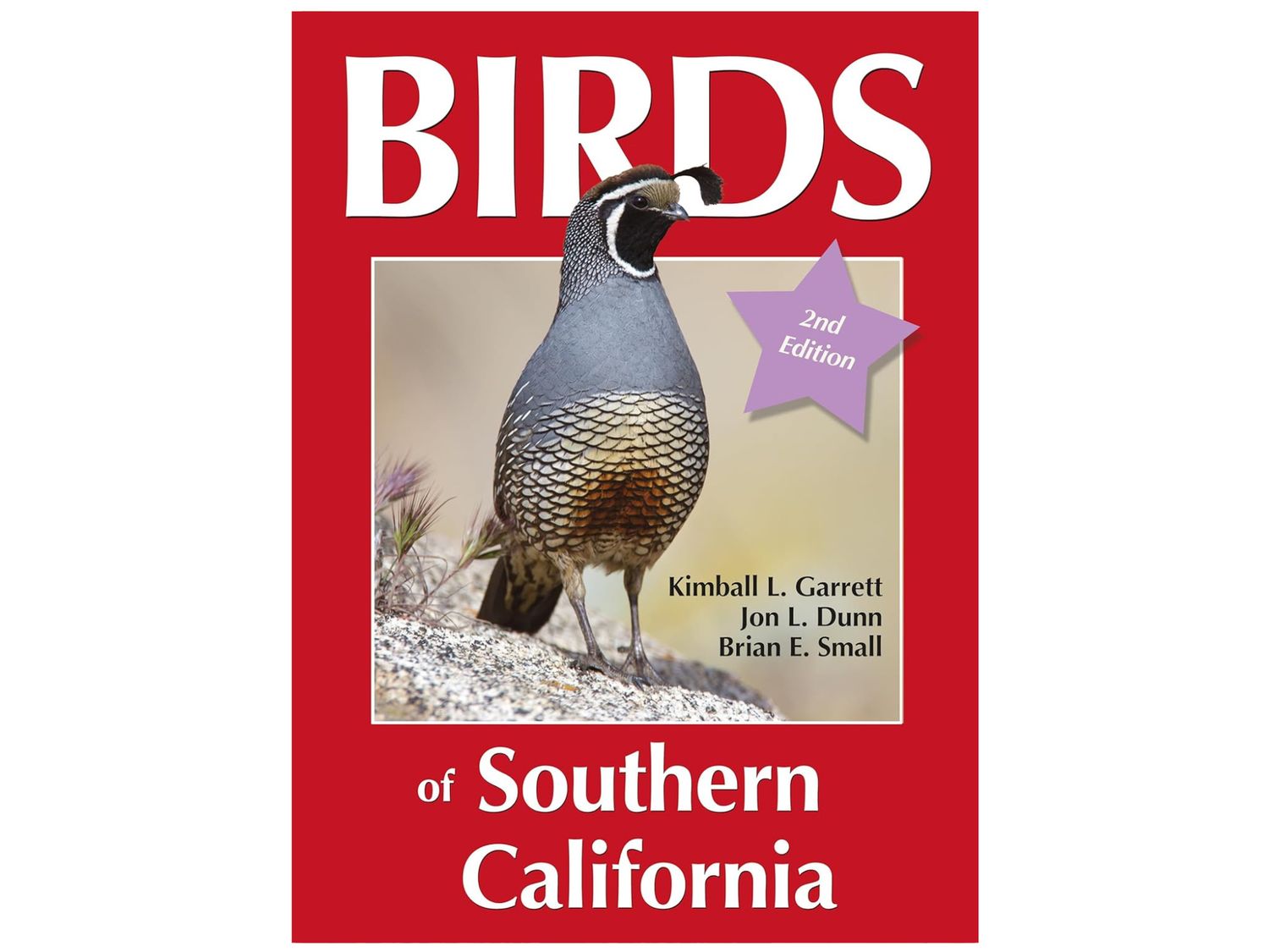 BIRDS OF SOUTHERN CALIFORNIA