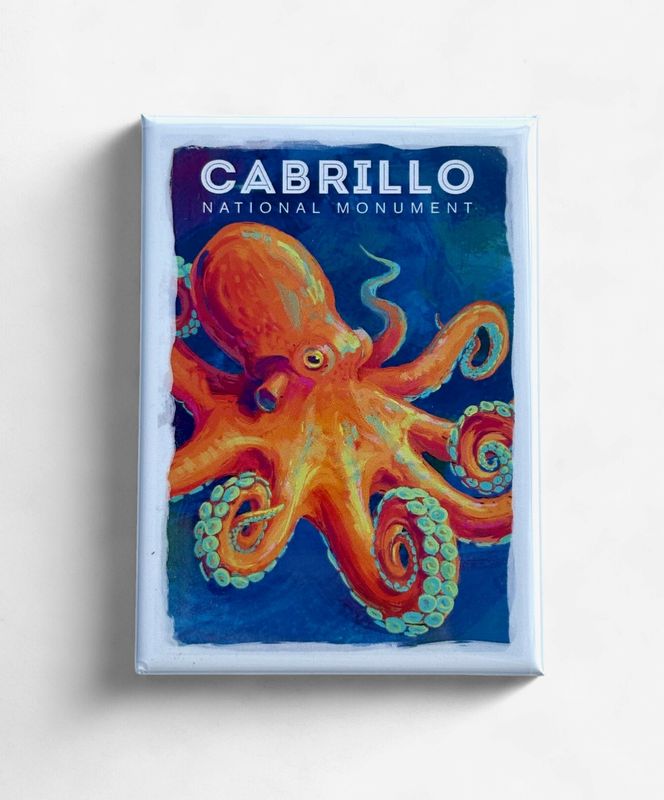 LANTERN PRESS MAGNET