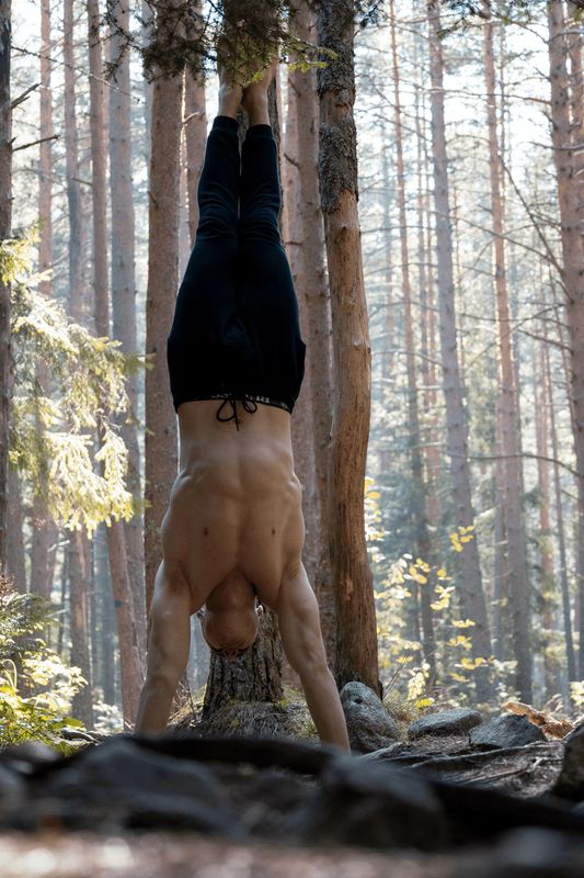Total Body Reboot
