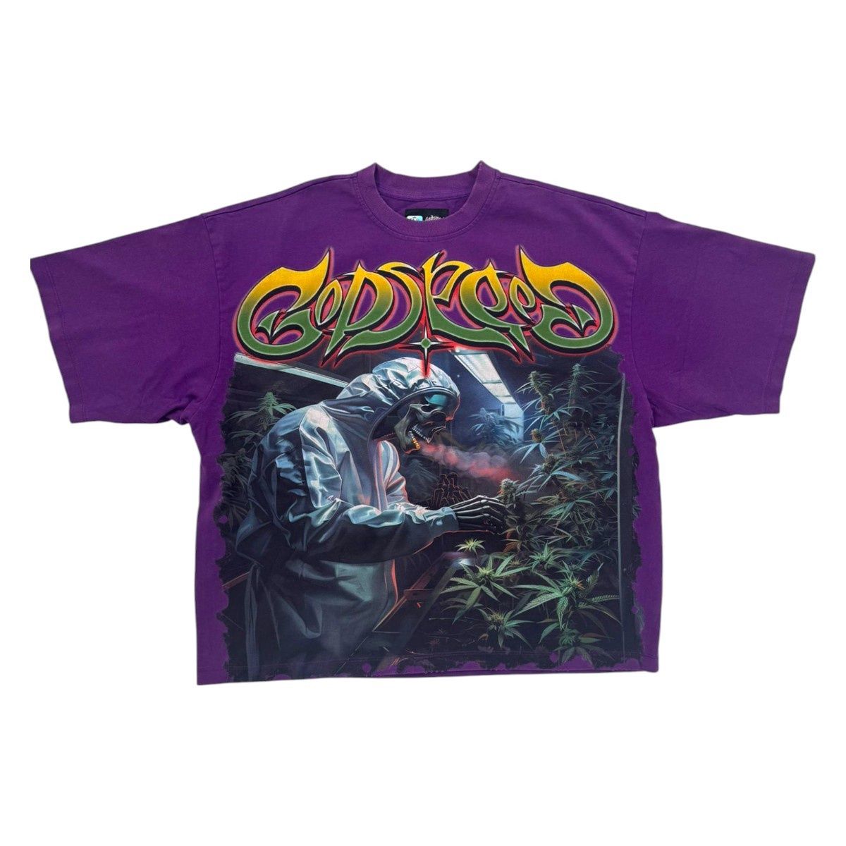 Godspeed Indoor Purple Teem (Used)