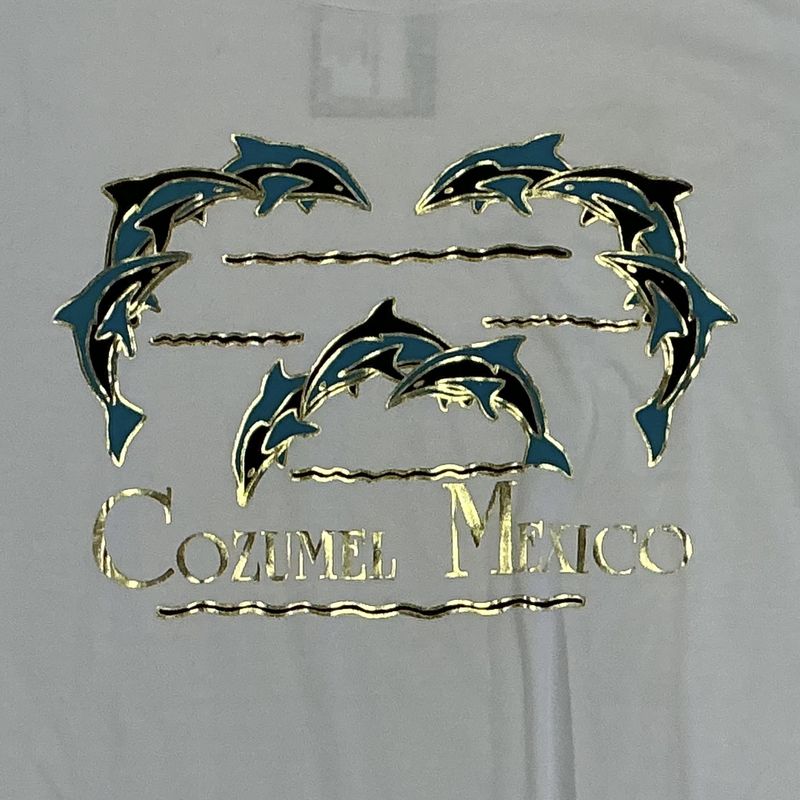 Cozumel Mexico Dolphin Tee