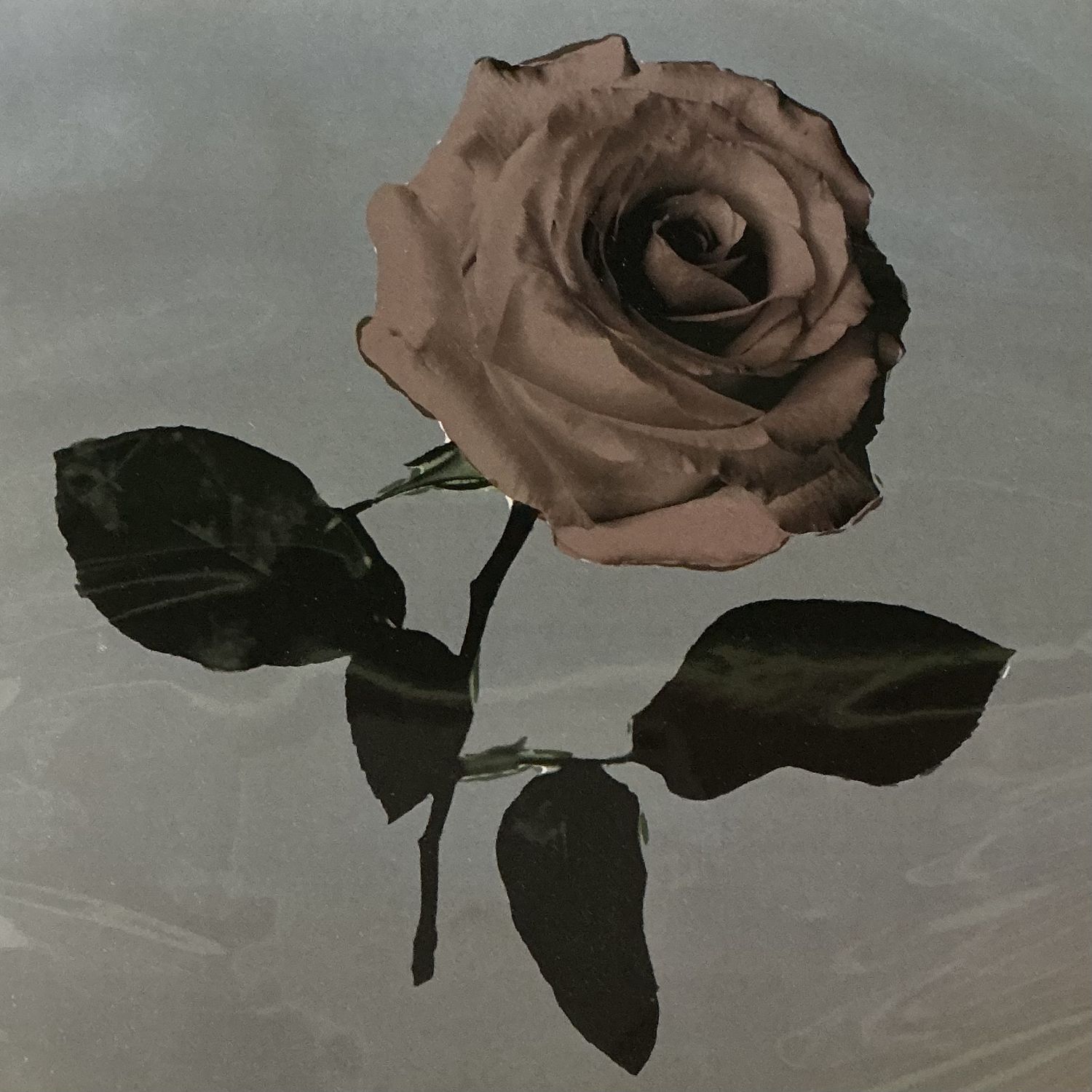 La Flor Print, Color: Blue