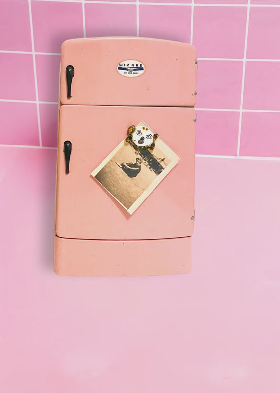 Sad Boy Spaniel Magnet