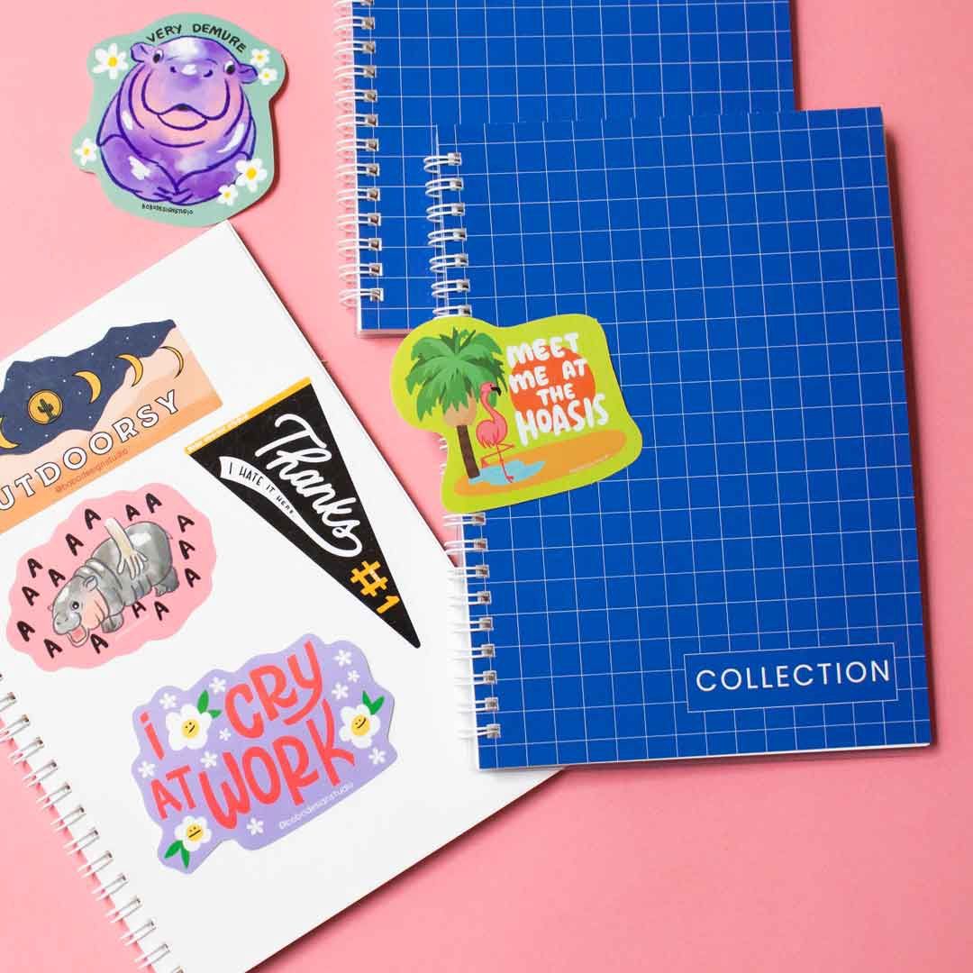 Collection-Reusable Sticker Book