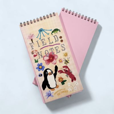 Field Notes Notebook