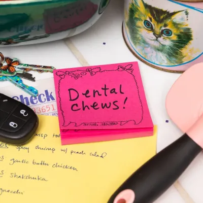 poodle sticky note