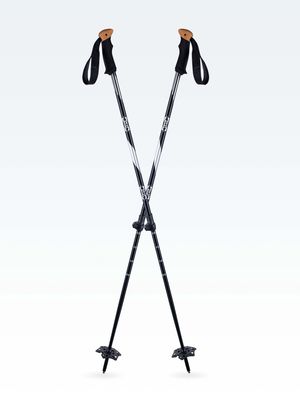 Trail Walking 2-PC Poles