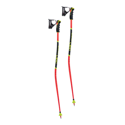 Alpine Ski Poles
