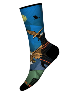 SW002684 M's Hike TC Eagle Print Sock