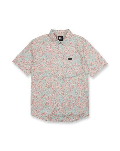 DITSY DAZE CLASSIC SS, Colour: BLUE HAZE, Size: S-OMA