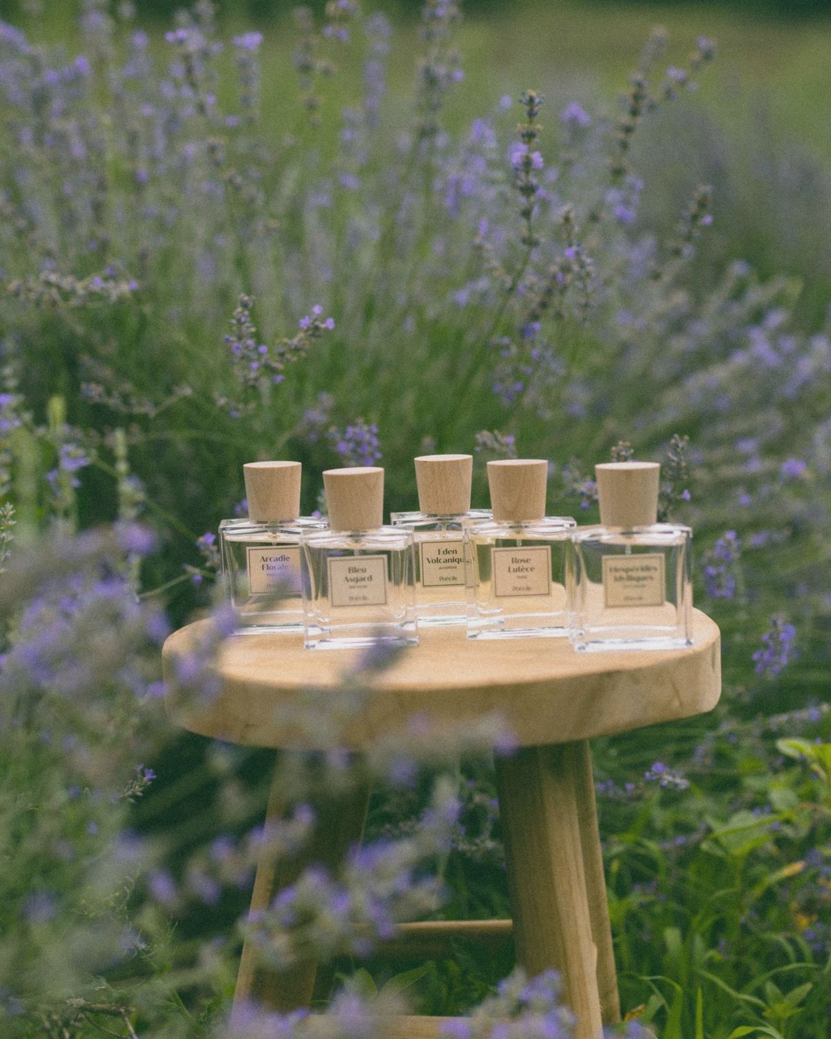 Poécile - eau de parfum