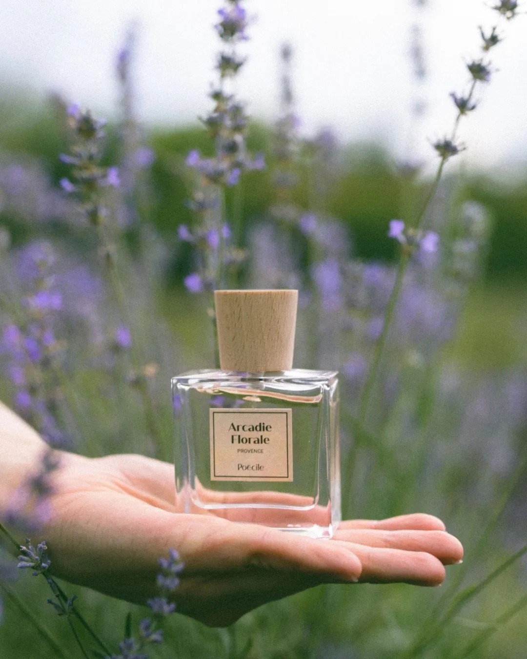 Poécile eau de parfum - Arcadie Florale
