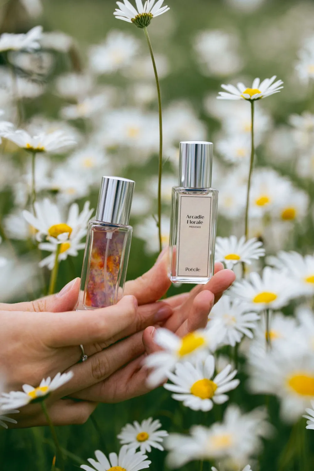 Poécile eau de parfum - Arcadie Florale