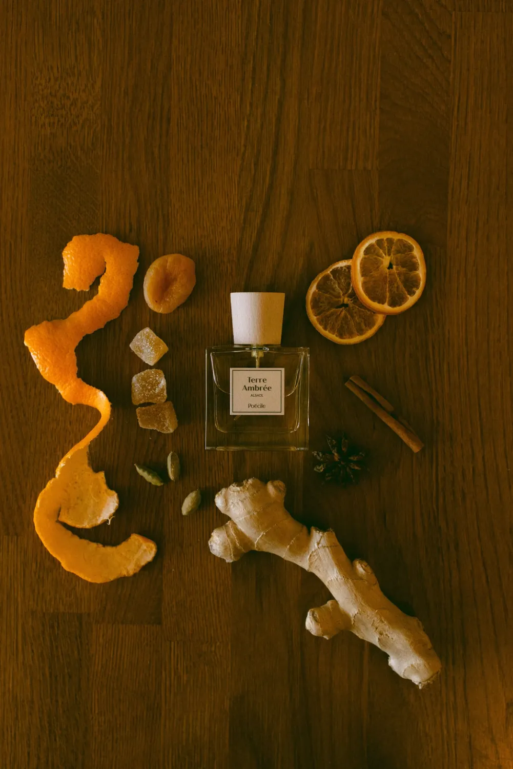 Poécile eau de parfum - Terre Ambrée