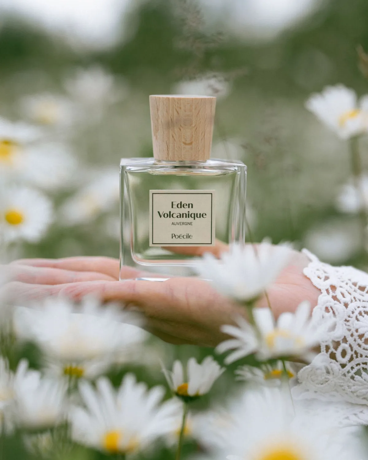 Poécile eau de parfum - Eden Volcanique