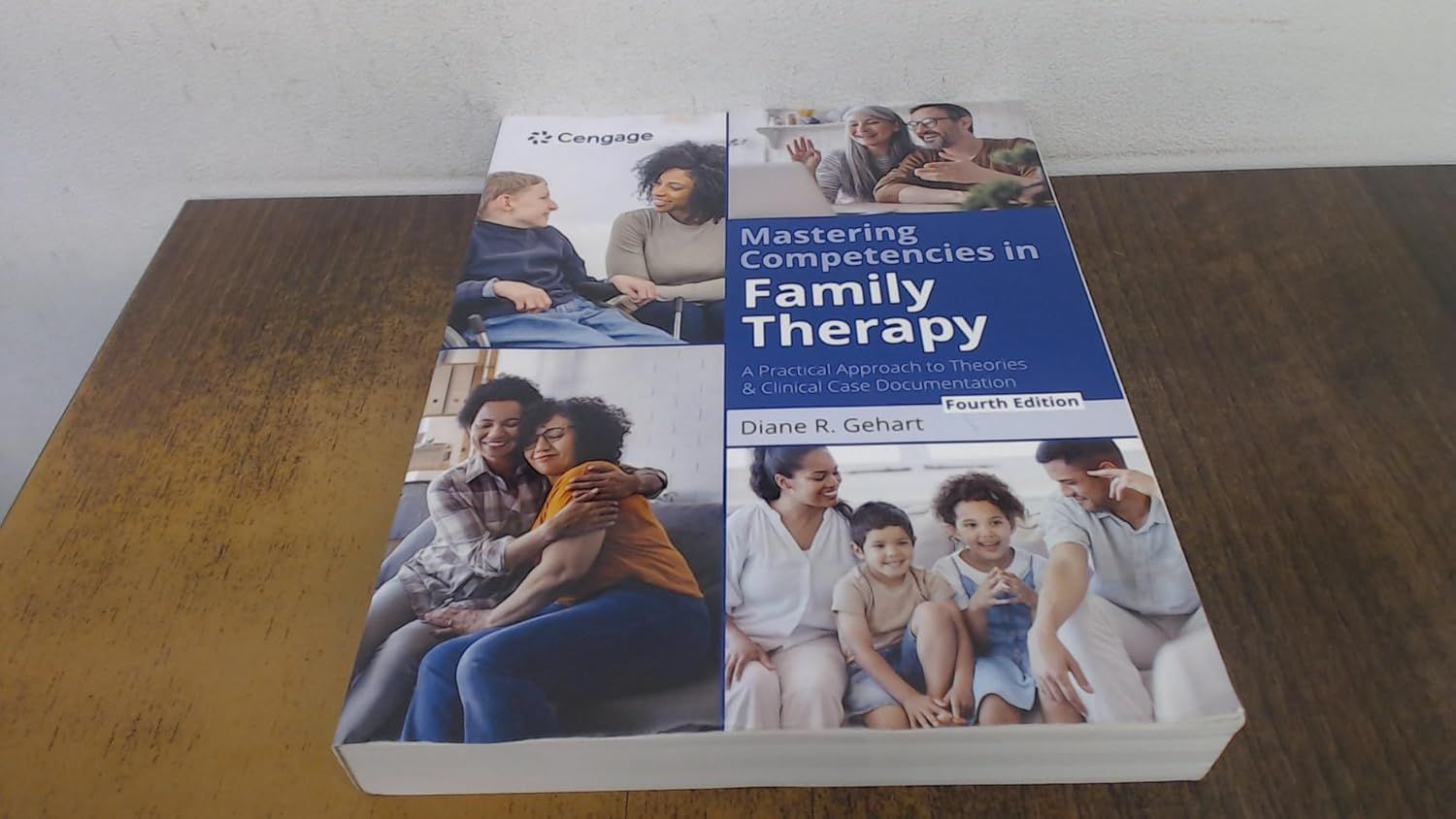 Mastering Competencies in Family Therapy