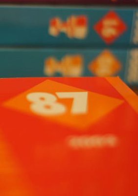 Chess Informant 87