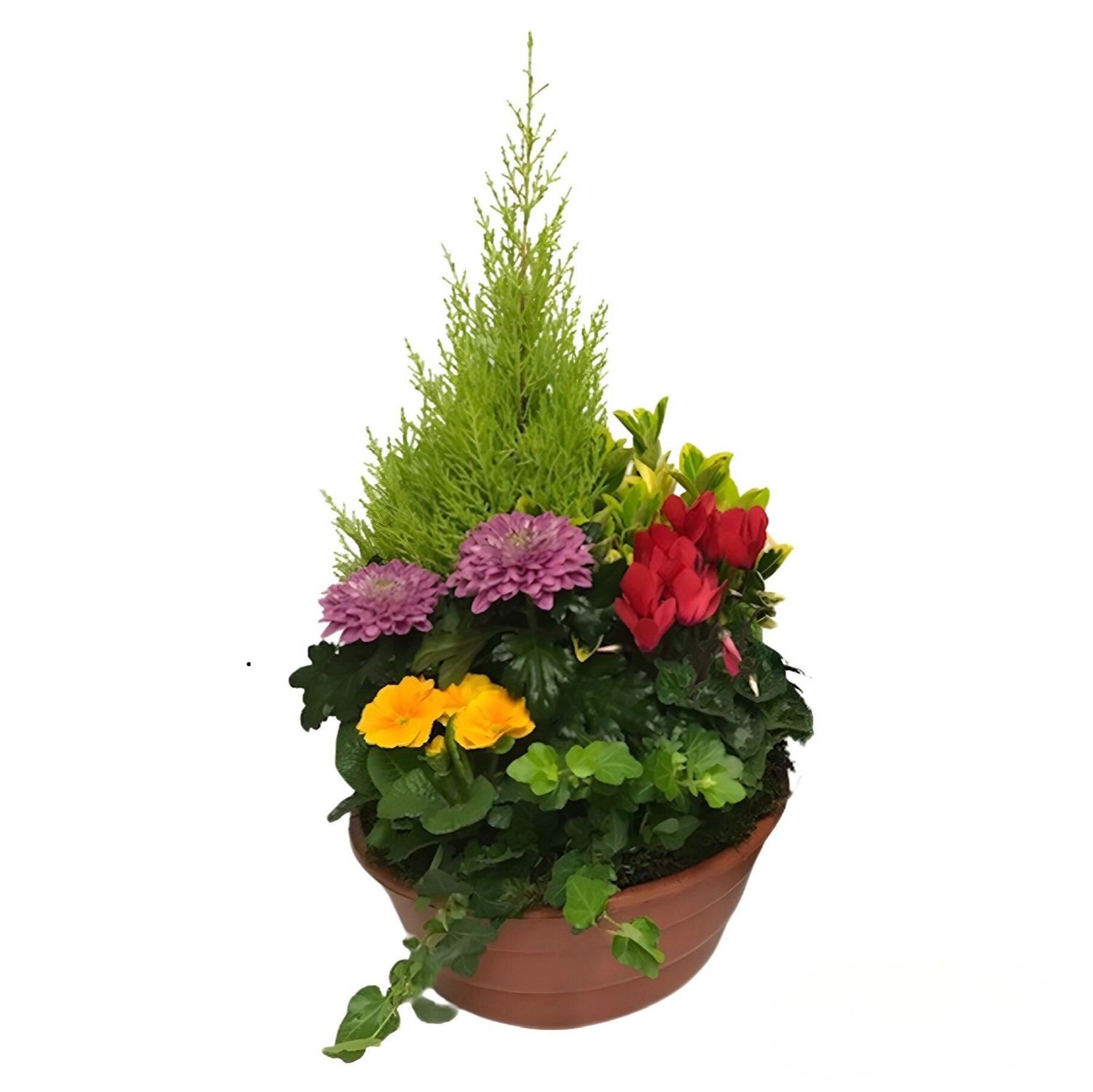 Composition florale Nature Fleurie