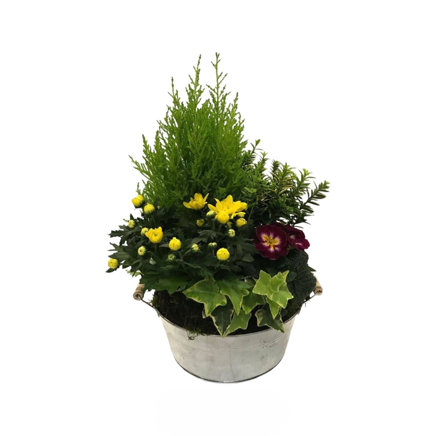 Composition florale L'Authentique Zinc