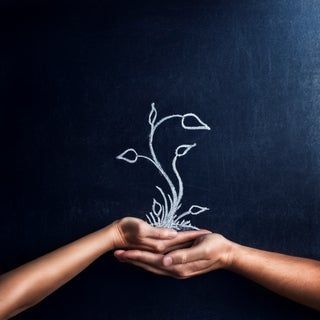 Integral Awareness Mentoring
