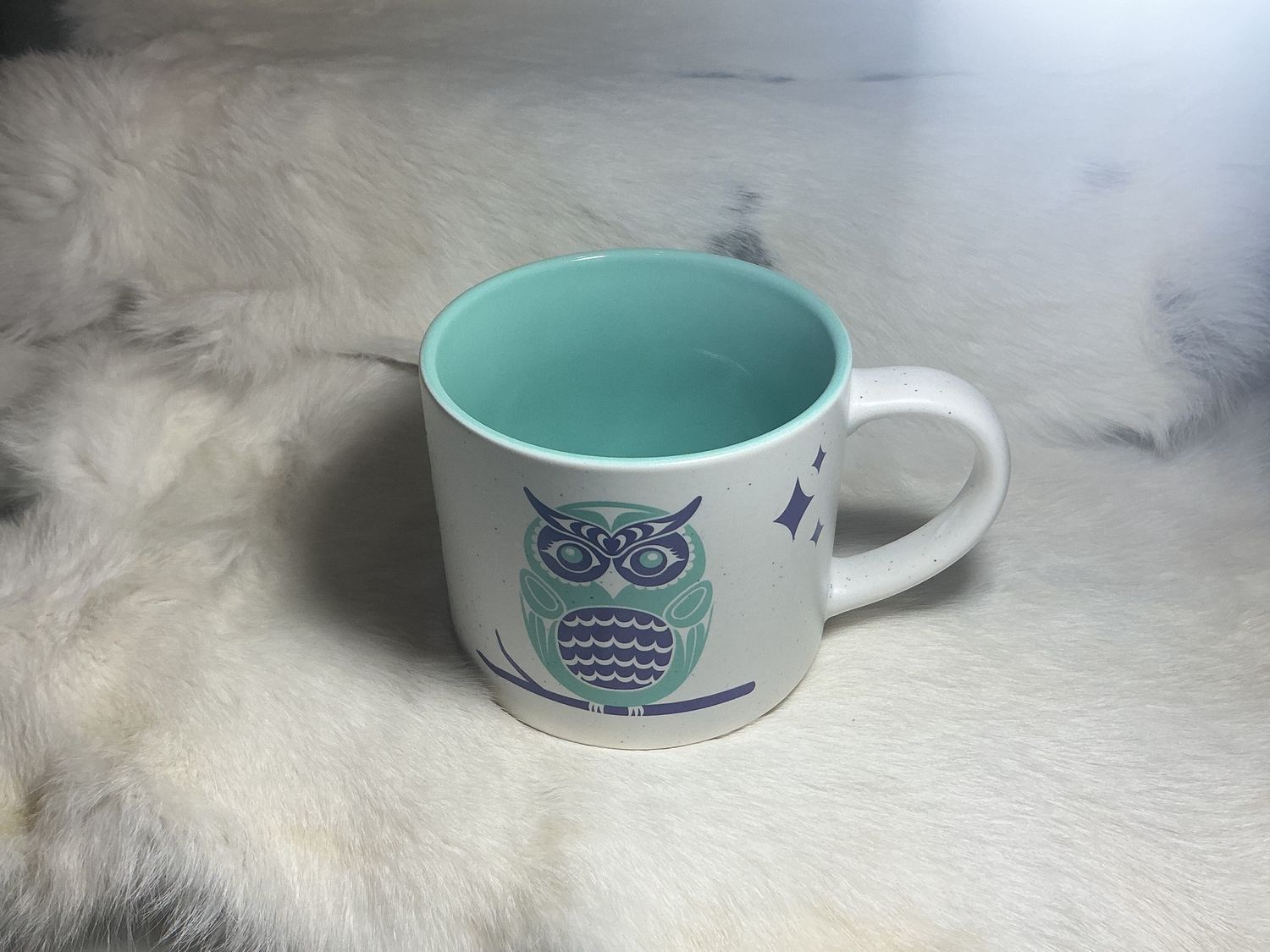 Native Northwest 16oz ceramic mug owls