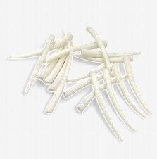 Dentalium Shells- Assorted Sizes 28g
