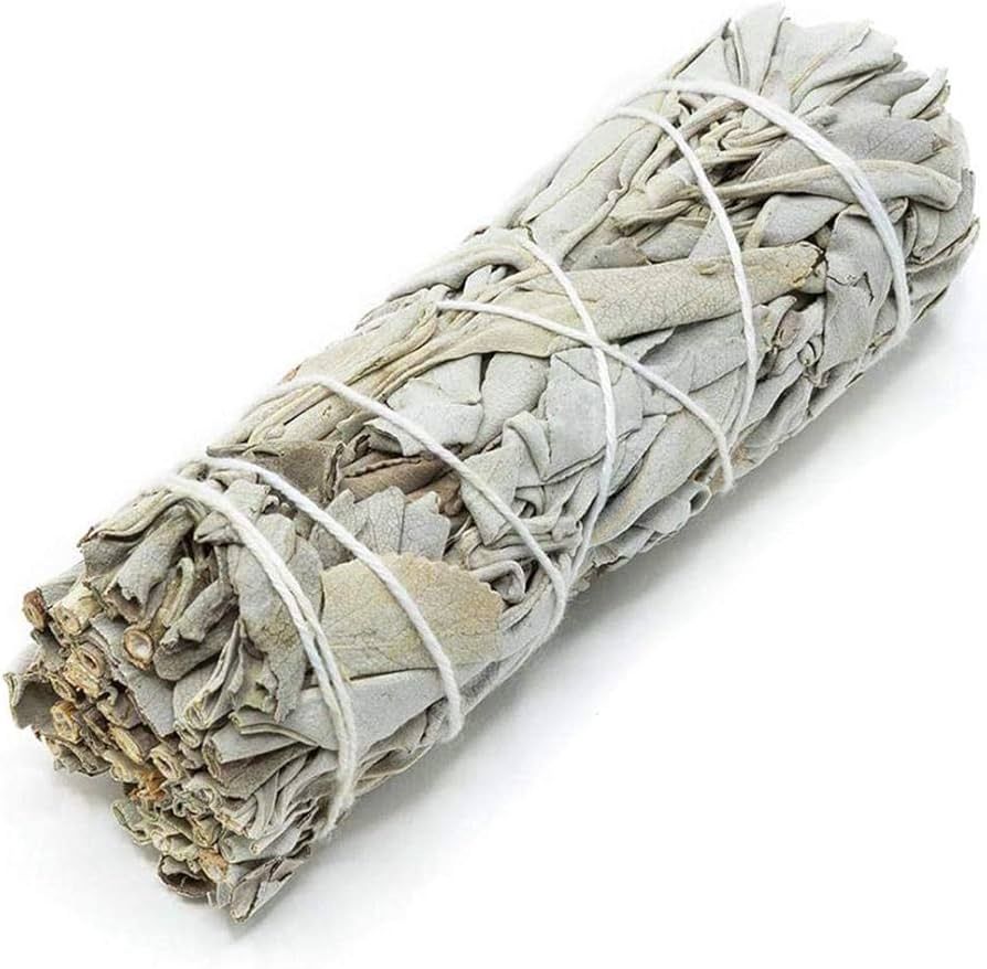 Sage Smudge 3”-4”