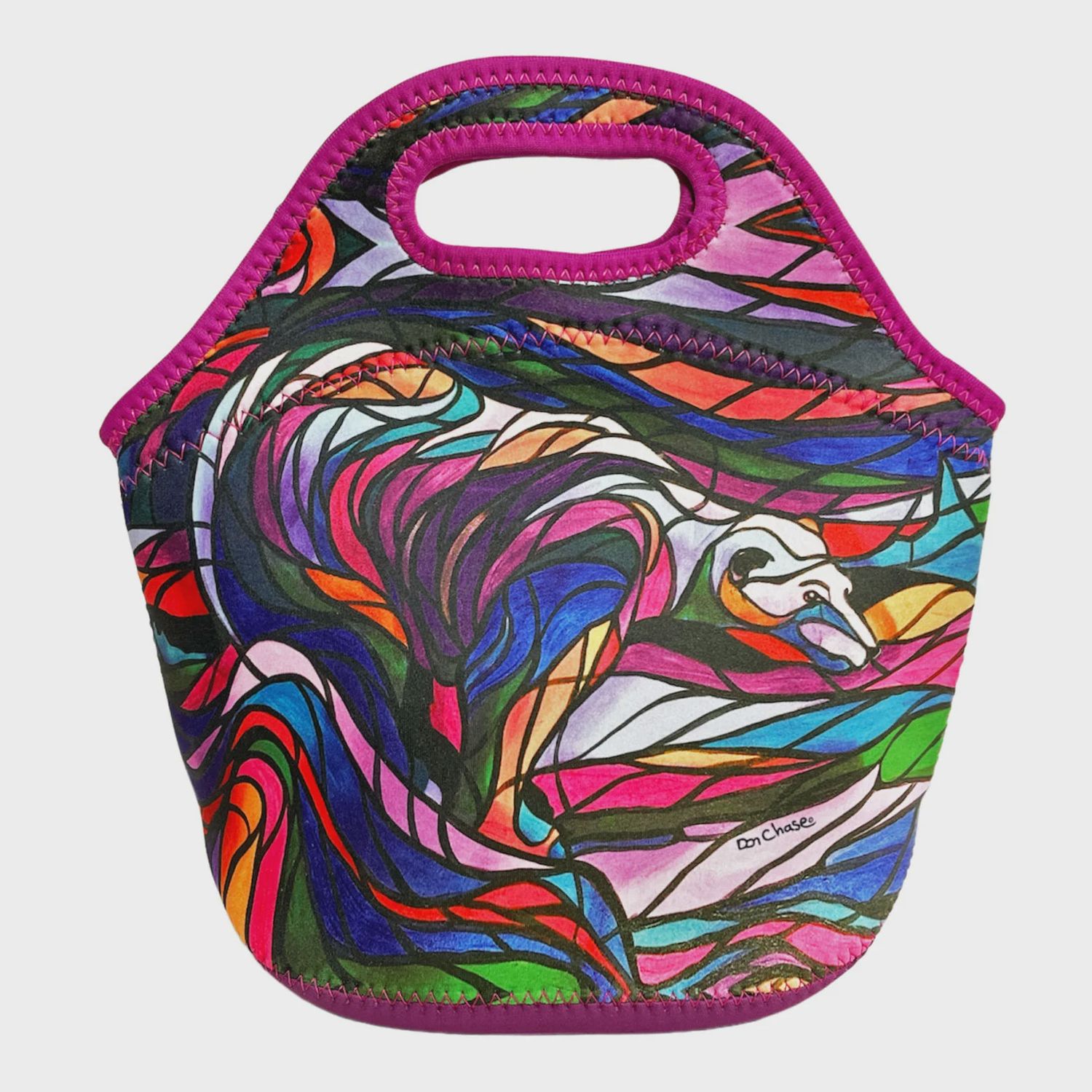OSCARDO Insulated Lunch Bags