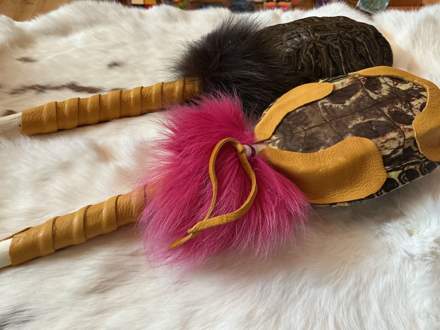 Turtle Shell Rattles