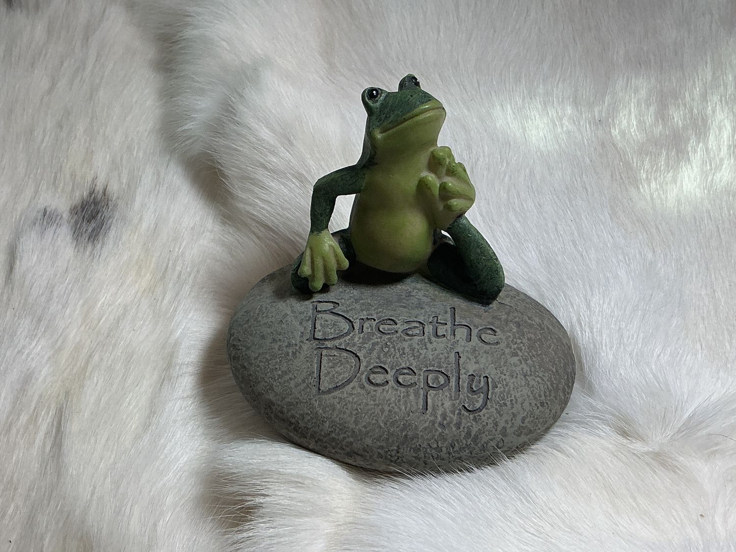Frog on Rock - Breathe Deeply