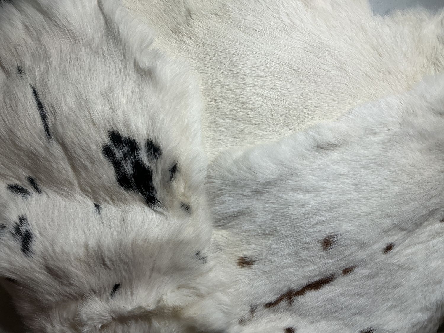 Rabbit Skins Assorted Whites