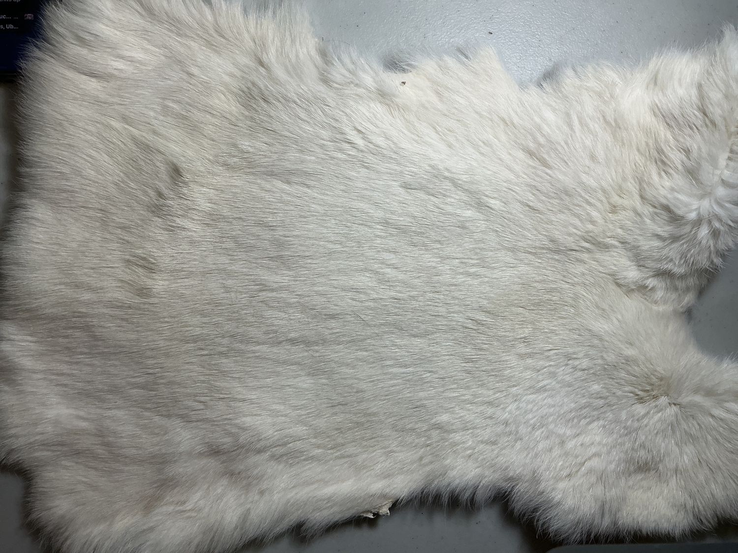 Rabbit Skins Assorted Whites, Colorway: Pure White