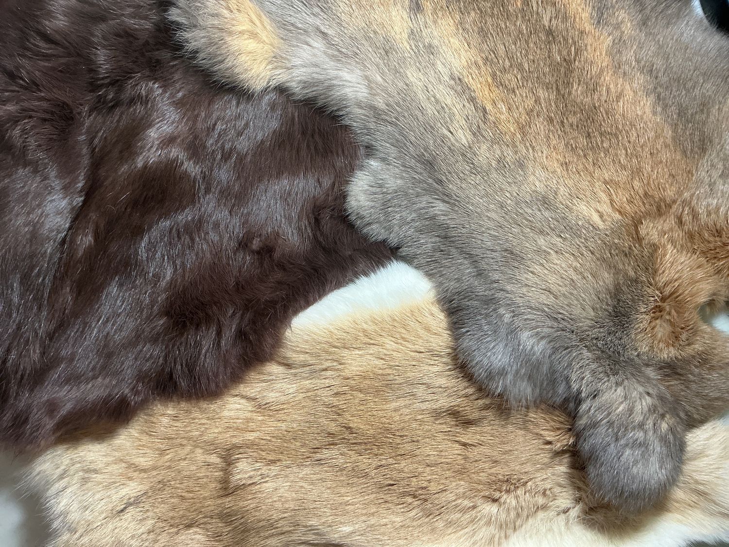 Rabbit Skins Assorted Browns