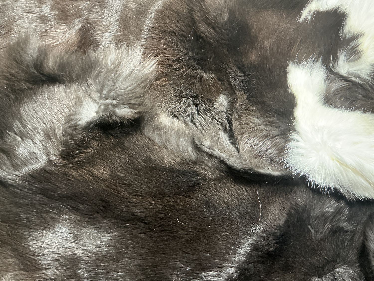 Rabbit Skins Assorted Blacks