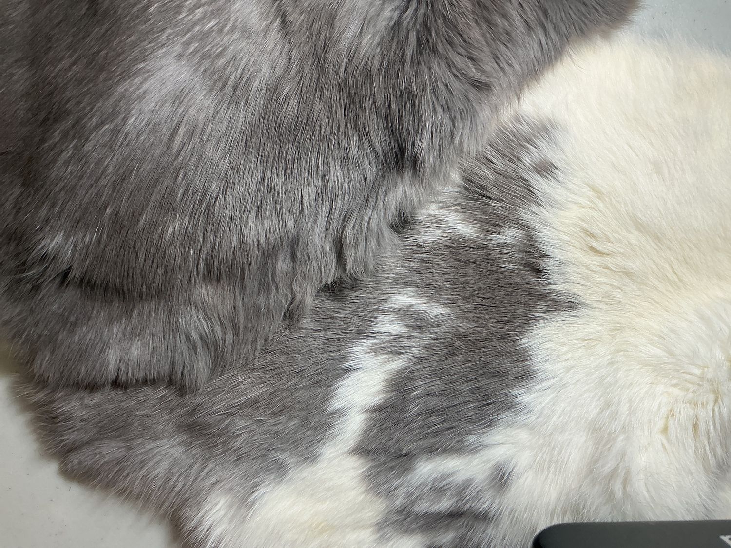 Rabbit Skins Assorted Greys