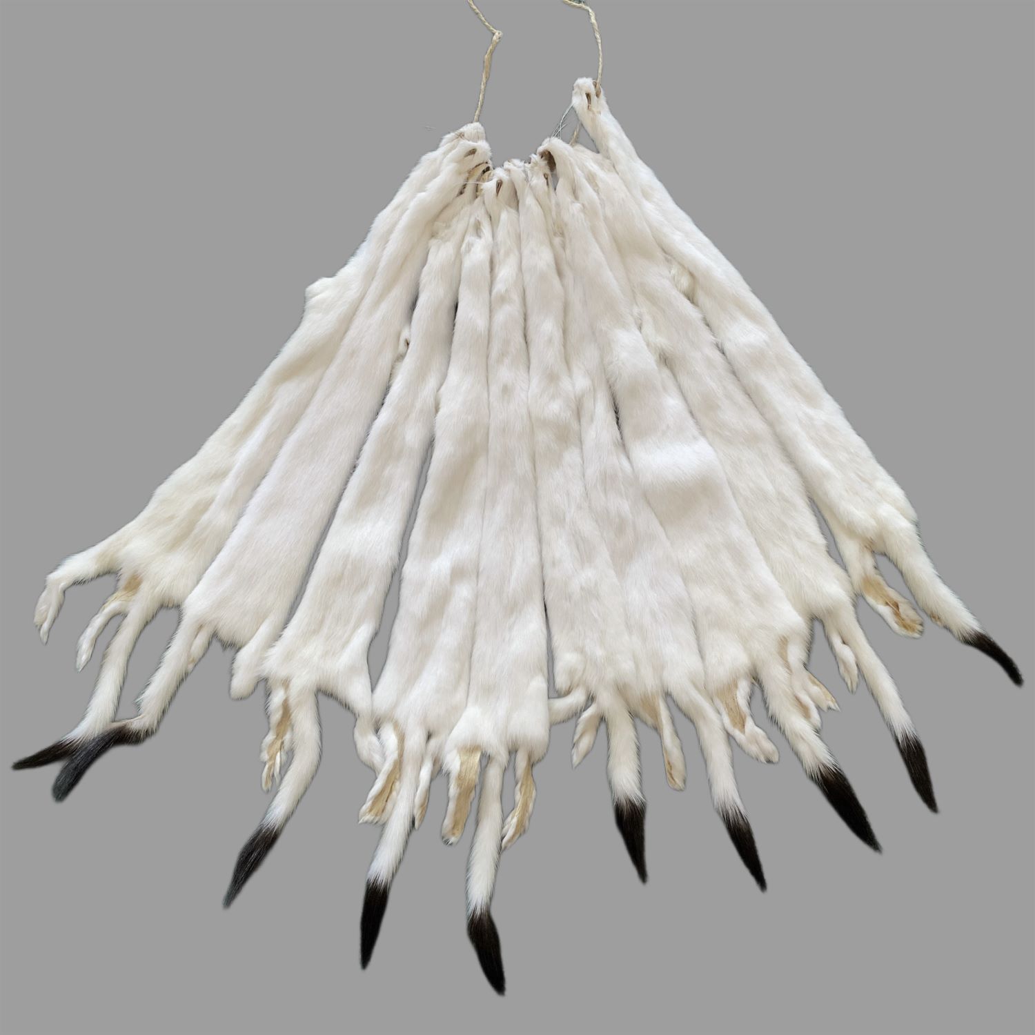 Ermine Weasel Fur Pelts