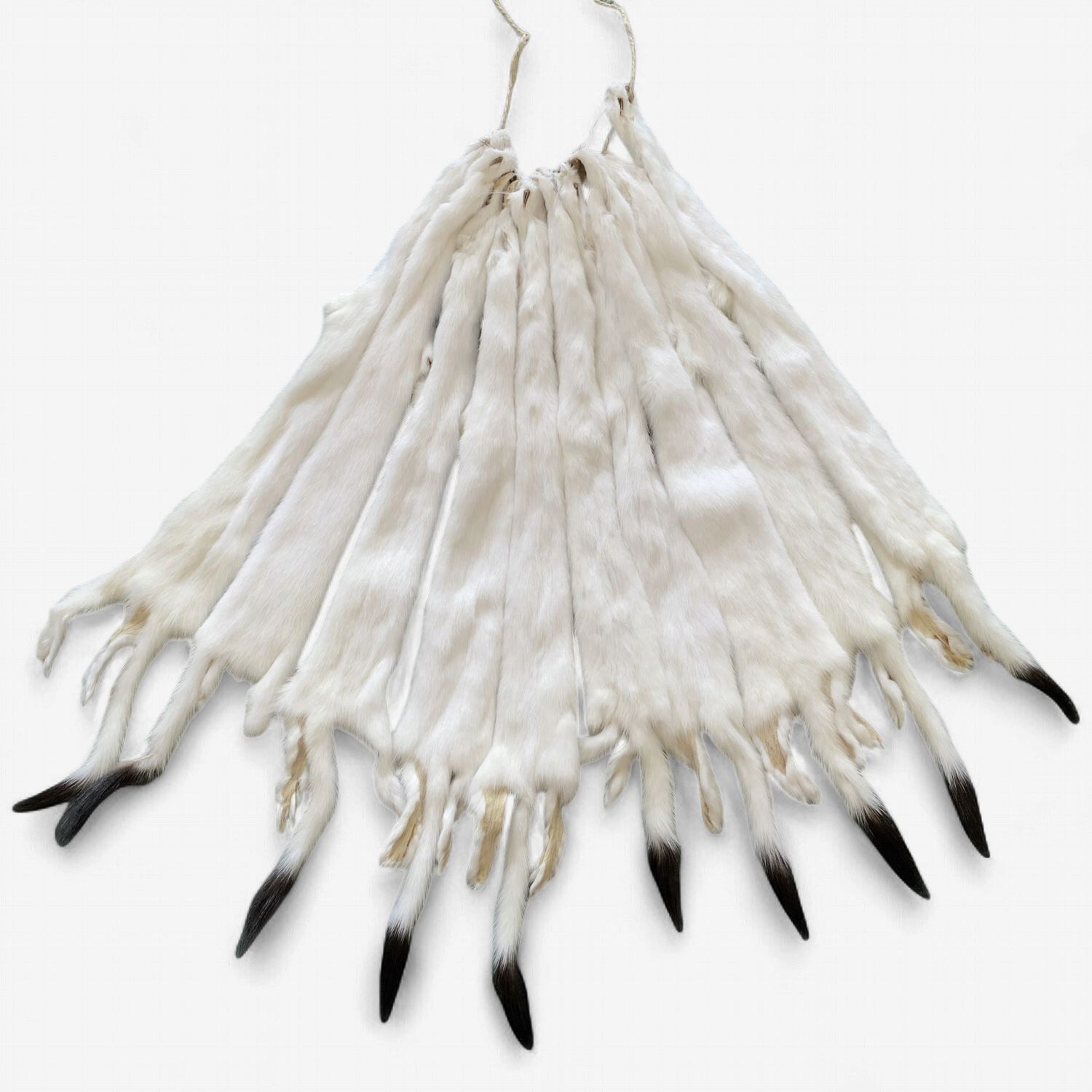 Ermine Weasel Fur Pelts