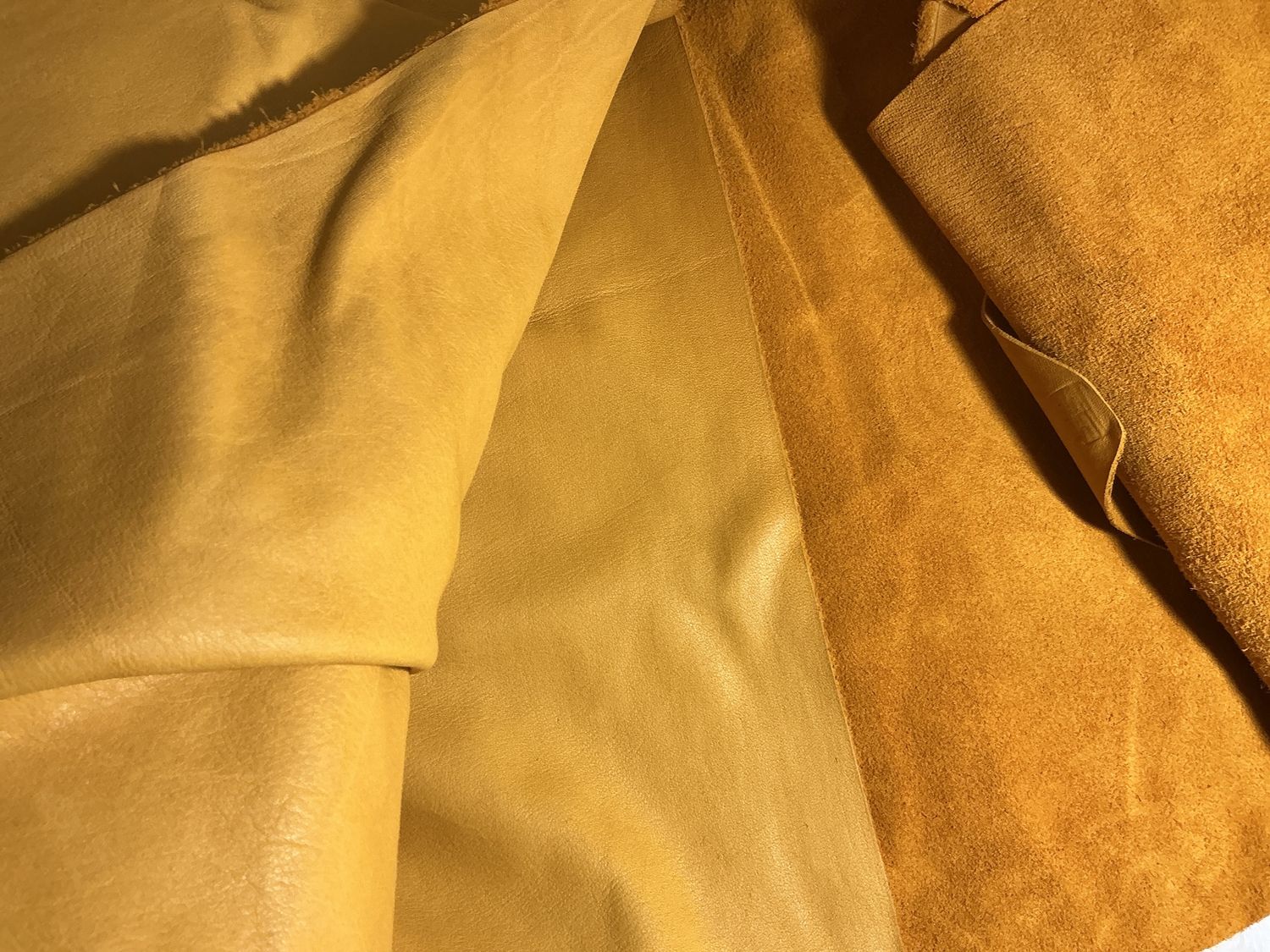 Hide Gold Steer, Size: 26.25 sqft