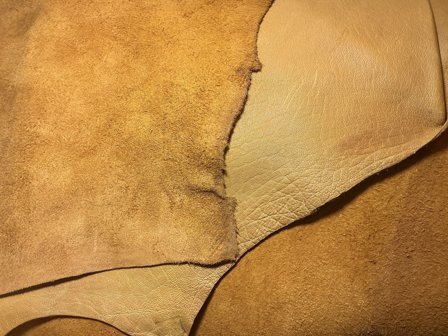 Hide Buffalo, Size: 23.75 sqft